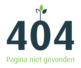 404 | Pagina niet gevonden