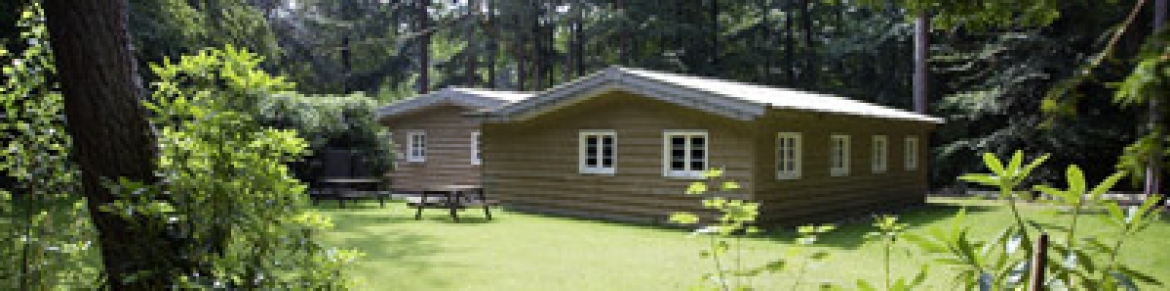 Lodges gelegen in het bos, Landgoed Zonheuvel