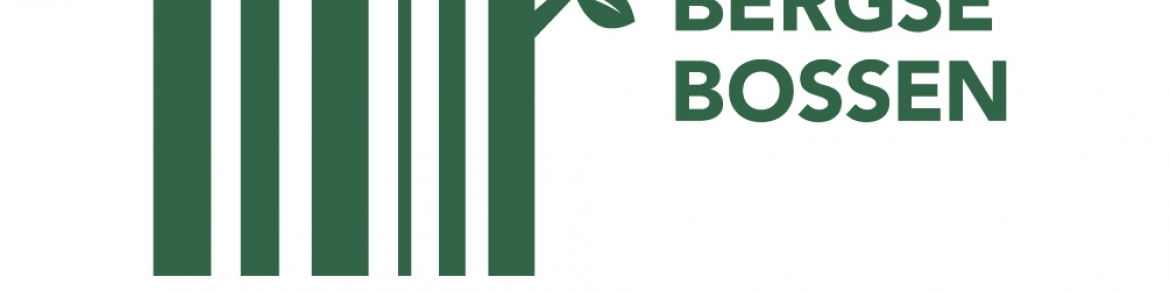 Logo BBmet onderslagzin GROEN