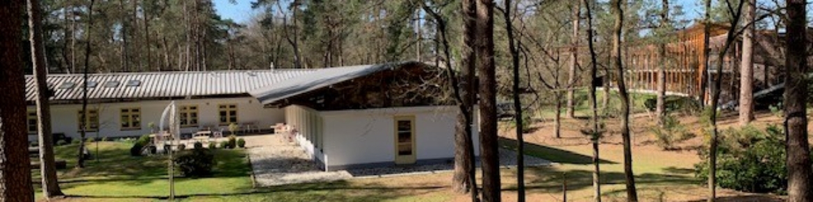 Bos bij de Kuilen
